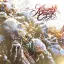 KILLSWITCH ENGAGE: This Consequence (CD)
