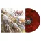 KILLSWITCH ENGAGE: This Consequence (LP, red)