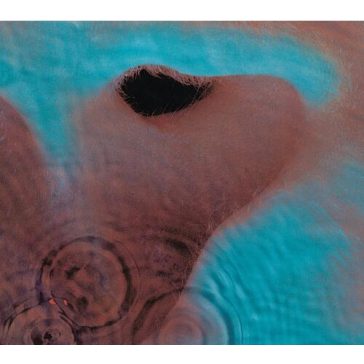 PINK FLOYD: Meddle (CD)