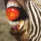 A-Z: A-Z (LP)