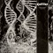 CORONER: Dissonance Theory (CD)