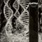 CORONER: Dissonance Theory (LP, 180 gr)