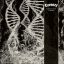 CORONER: Dissonance Theory (LP, 180 gr)