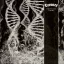 CORONER: Dissonance Theory (LP, 180 gr)