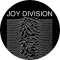 JOY DIVISION: Unknown Pleasures (jelvény, 2,5 cm) 