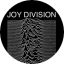 JOY DIVISION: Unknown Pleasures (nagy jelvény, 3,7 cm)
