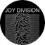 JOY DIVISION: Unknown Pleasures (nagy jelvény, 3,7 cm)
