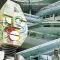 ALAN PARSONS PROJECT: I Robot (CD 2025 reissue)