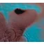 PINK FLOYD: Meddle (LP, 2016)