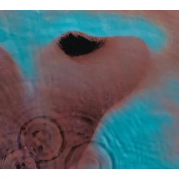 PINK FLOYD: Meddle (LP)