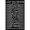 JOY DIVISION: Unknown Pleasures (zászló)