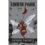 LINKIN PARK: Hybrid Theory (zászló)