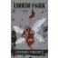 LINKIN PARK: Hybrid Theory (zászló)