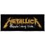 METALLICA: Whatever I May Roam (15 cm x 5 cm) (felvarró)