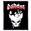DESTRUCTION: Skull Infernal Overkill (8 cm x 9,5 cm)(felvarró)