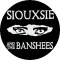 SIOUXSIE AND THE BANSHEES: Eyes (jelvény, 2,5 cm) 