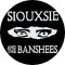 SIOUXSIE AND THE BANSHEES: Eyes (nagy jelvény, 3,7 cm) 