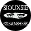 SIOUXSIE AND THE BANSHEES: Eyes (nagy jelvény, 3,7 cm) 