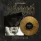 BEHEMOTH: I, Scvlptor (LP, gold black splatter)